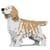 Chien Setter Anglais taches beiges Taille standard | JEKCA | 14 ans et +