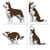 Chien Husky (4 en 1) marron Taille standard | JEKCA | 14 ans et +