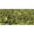 Paillettes, 6mm bombées, boîte 6g, lavable, olive