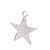 5 Breloques sequins Etoile - 14*13mm - argent pailleté