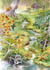 Puzzle 1000 pièces - Forest Animals - Bluebird Puzzle