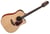 P4DC Takamine