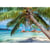Puzzle 1000 Pièces Plage Tropicale - Alize Group