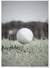 Affiche Golf 2 | A3 : 29,7x42cm