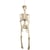 Suspension Squelette (92 cm)