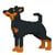 Chien Pinscher Nain noir Taille standard | JEKCA | 14 ans et +