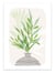 Affiche 30 x 40 cm - Olive branches - Kristian Gallagher