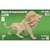Quay - Maquette en bois Lion