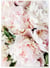 Poster Nature Pivoine Rose | A3 : 29,7x42cm