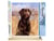 Peinture par Numéro Figured'Art - Chien Labrador - Kit de Loisir Créatif DIY Numéro d'Art Complet - 40x50cm toile roulée + châssis en bois à monter