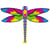 Cerf-volant monofil libellule multicouleur 100cm x 76cm - HQ KITES