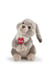 Peluche  - Lievre Lino