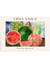 Affiche Frida Kahlo «Viva la Vida, Watermelons» | A3 : 29,7x42cm