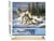 Peinture par Numéro Figured'Art - Couple de Loups - Kit de Loisir Créatif DIY Numéro d'Art Complet - 40x50cm toile roulée + châssis en bois à monter