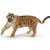 Figurine Tigre rugissant - Papo
