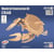 Quay - Maquette en bois Crabe