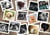 Puzzle 1000 pièces - Chiens - Grafika