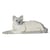 Chat Tonkinois couché | JEKCA | 14 ans et +