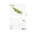 CARTE POSTALE CROCODILE