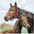 Lot de 4 serviettes en papier découpage collage 33 cm CHEVAUX A 301