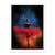 Affiche 30x40 cm -  Color Dance - Sebastian Kisworo