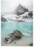 Poster Nature Winter Lake | A3 : 29,7x42cm