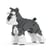 Chien Schnauzer Moyen gris et blanc Taille standard | JEKCA | 14 ans et +