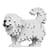 Chien Pékinois Taille standard | JEKCA | 14 ans et +