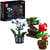 Plantes en pot
