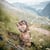 Tableau sur toile marmotte 30x30 cm