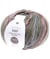 Laine à chaussette Superba Easy 8 fils - 150GR - Rico Design Gris (005 - Autumn)