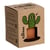 Resetea - Kit de culture Mr Cactus