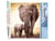 Peinture par Numéro Figured'Art - Maman éléphant et son petit - Kit de Loisir Créatif DIY Numéro d'Art Complet - 40x50cm sans châssis en bois