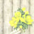 Lot de 4 serviettes en papier découpage collage 33 cm FLEUR JAUNE F 400