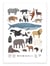 Affiche 50 x 70 cm -  Mammals - Alex Foster