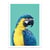 Affiche 30x40 cm - Macaw Parrot in Blue - Gal Design