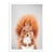 Affiche 30x40 cm - Squirrel - Gal Design