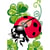LUC - Kit canevas enfant 25x30 Coccinelle
