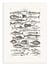 Affiche 30 x 40 cm - Sealife I - Oliver Goldsmith