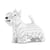 Chien Terrier Ecossais blanc Taille standard | JEKCA | 14 ans et +