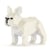 Chien Bouledogue Français oreilles dressées crème Taille standard | JEKCA | 14 ans et +