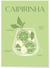 Affiche Cocktail Caipirinha 2 | A3 : 29,7x42cm