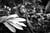 Tirage photo 40 × 60 cm – Papier – Jungle – par Marion Staderoli