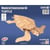 Quay - Maquette en bois Tortue