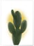 Poster Cactus | A3 : 29,7x42cm
