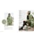 Catalogue LOVEWOOL N°21 – Hiver 2025/2026 - Rico Design Vert