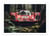 Affiche 30 x 40 cm - ForestCar - Marcel Egger