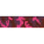 Film 20m sangle militaire fantaisie 25mm fuchsia