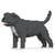 Chien Staffordshire Bull Terrier gris Taille standard | JEKCA | 14 ans et +
