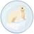 6 Assiettes Animaux Polaires - Recyclable